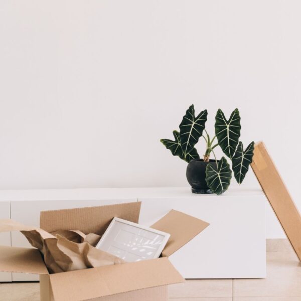 Boxes sitting in a room