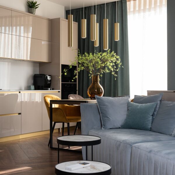 luxury apartment living room