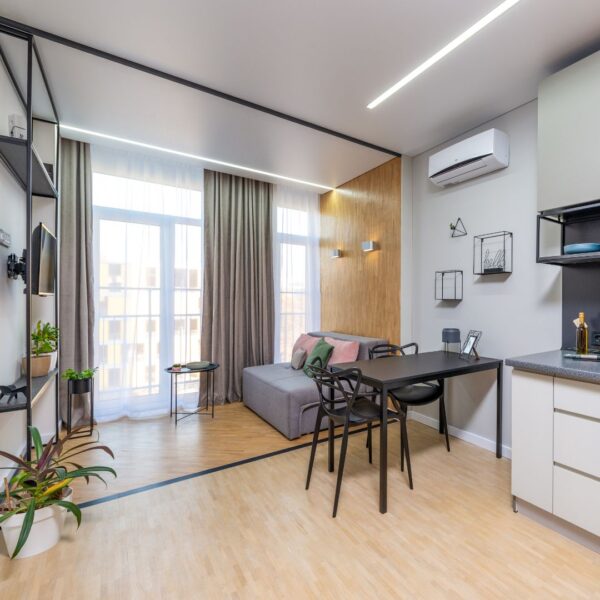 studio apartment with a pull out couch